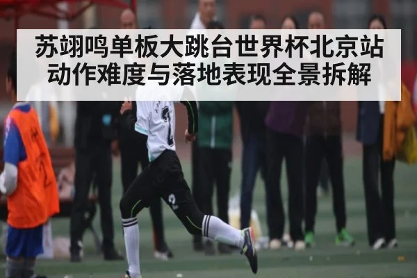 苏翊鸣单板大跳台世界杯北京站动作难度与落地表现全景拆解
